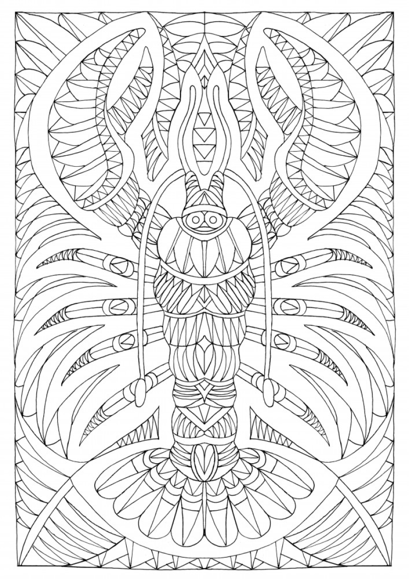 5 FREE Animal Colouring Downloads