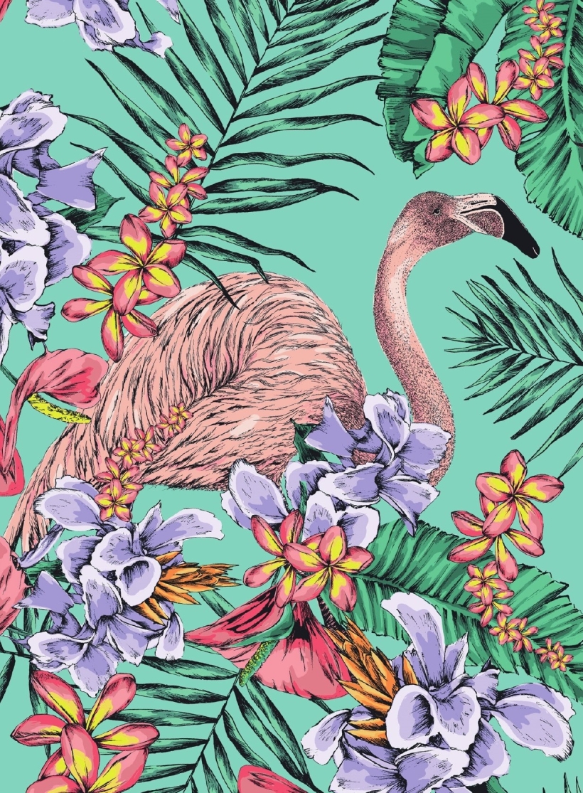 FREE Flamingo Colouring Download