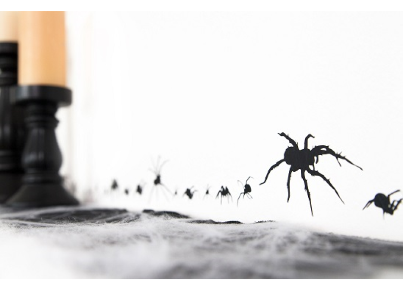 Scary Spiders Wall decal