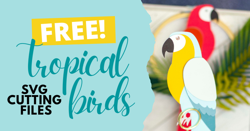 FREE Tropical Birds SVG Cutting Files