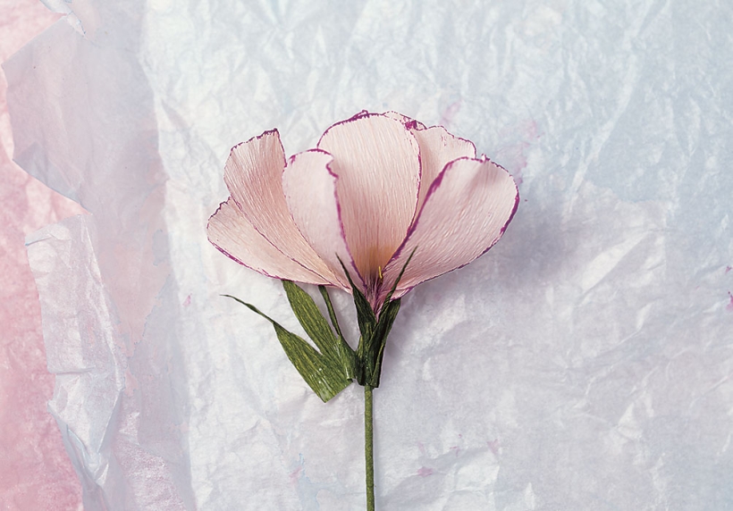 FREE DIY Cosmo Flower Project
